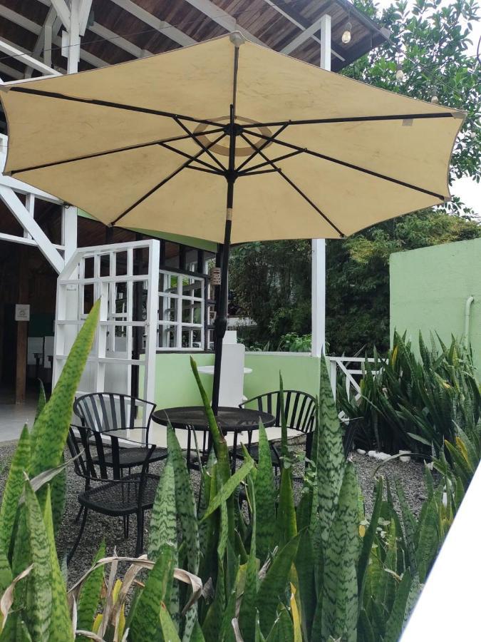 Lizard King Hotel & Suites Puerto Viejo de Talamanca Extérieur photo