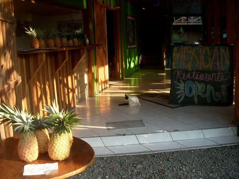 Lizard King Hotel & Suites Puerto Viejo de Talamanca Extérieur photo